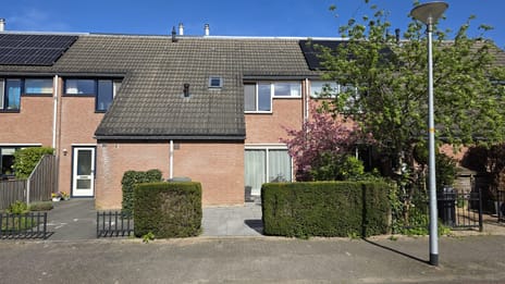 undefined main image