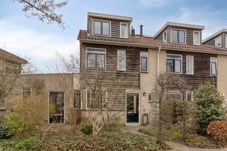 Ien Dalessingel thumbnail