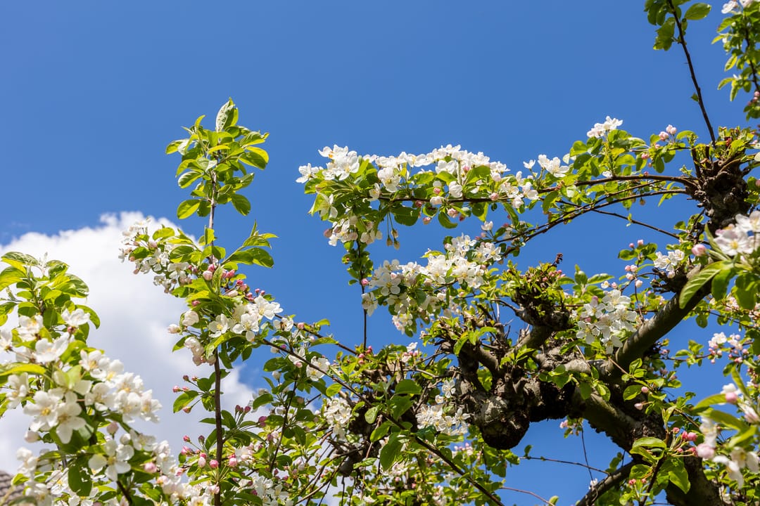 Foto 22 van Zenderstraat 63