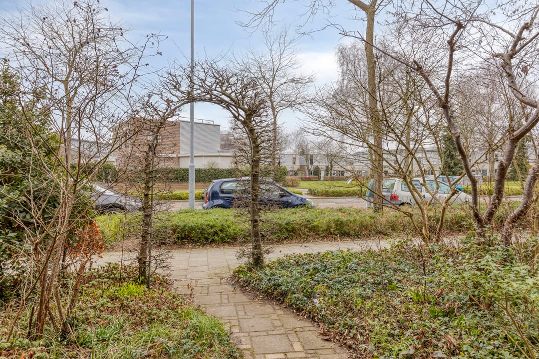 Foto 43 van Ien Dalessingel 31