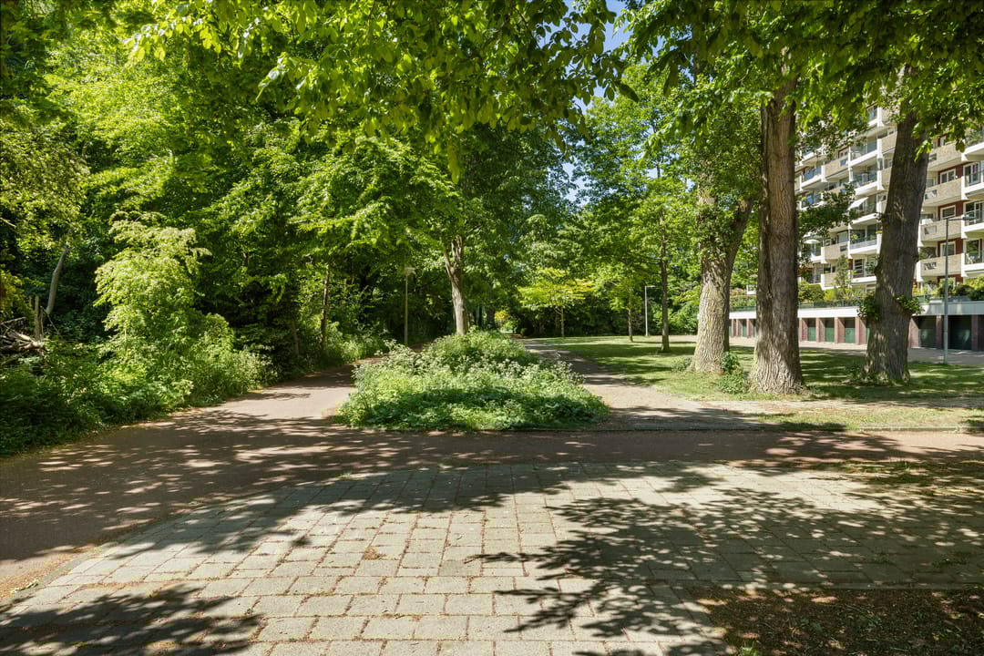 Photo 52 of Jisperveldstraat 143