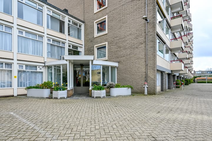 Photo 3 of Zandvoorter Allee 156