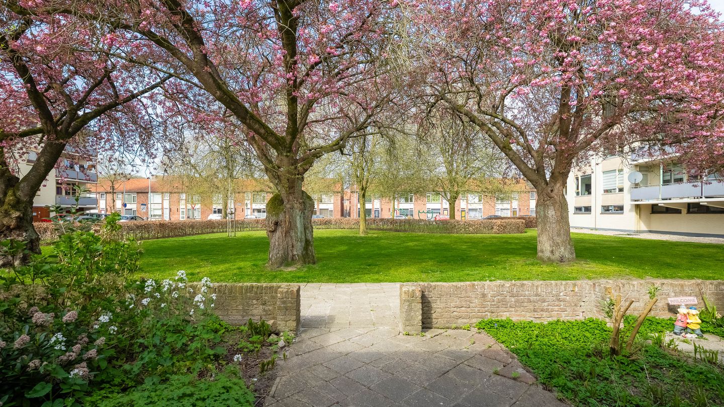 Foto 5 van Lieven de Keystraat 4