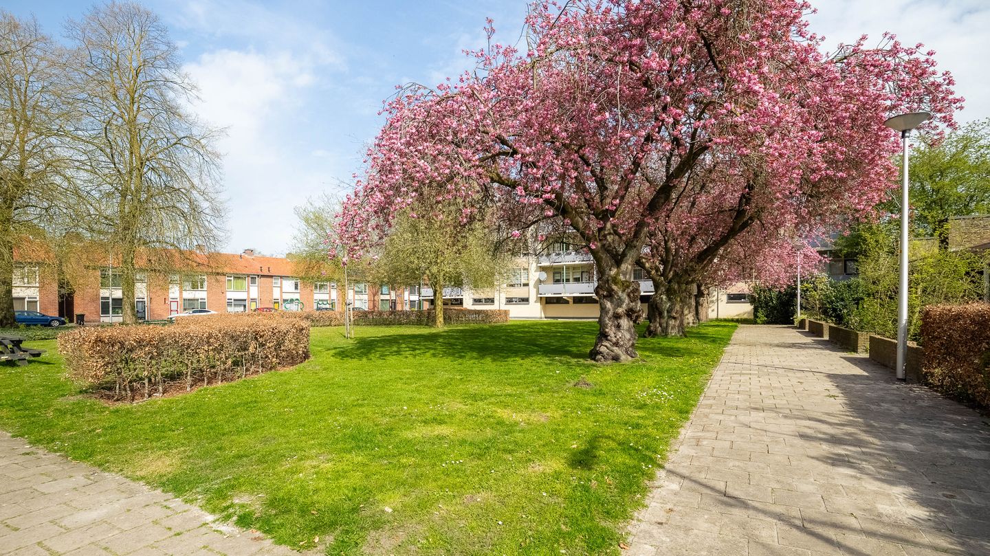 Foto 19 van Lieven de Keystraat 4