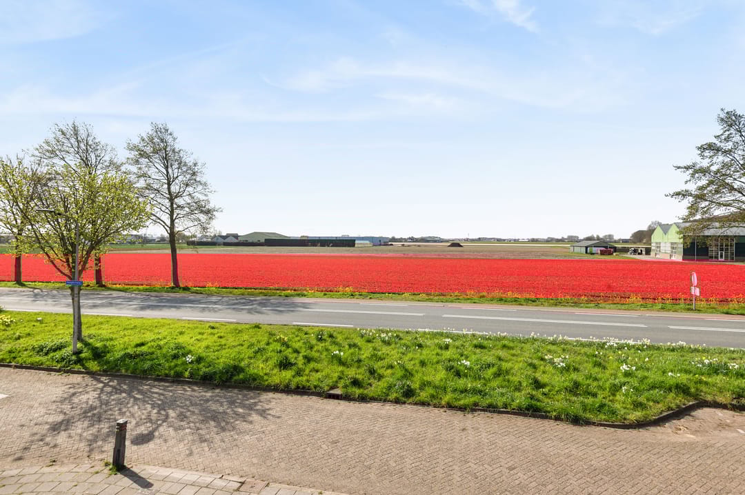 Foto 26 van Hoogduinweg 56