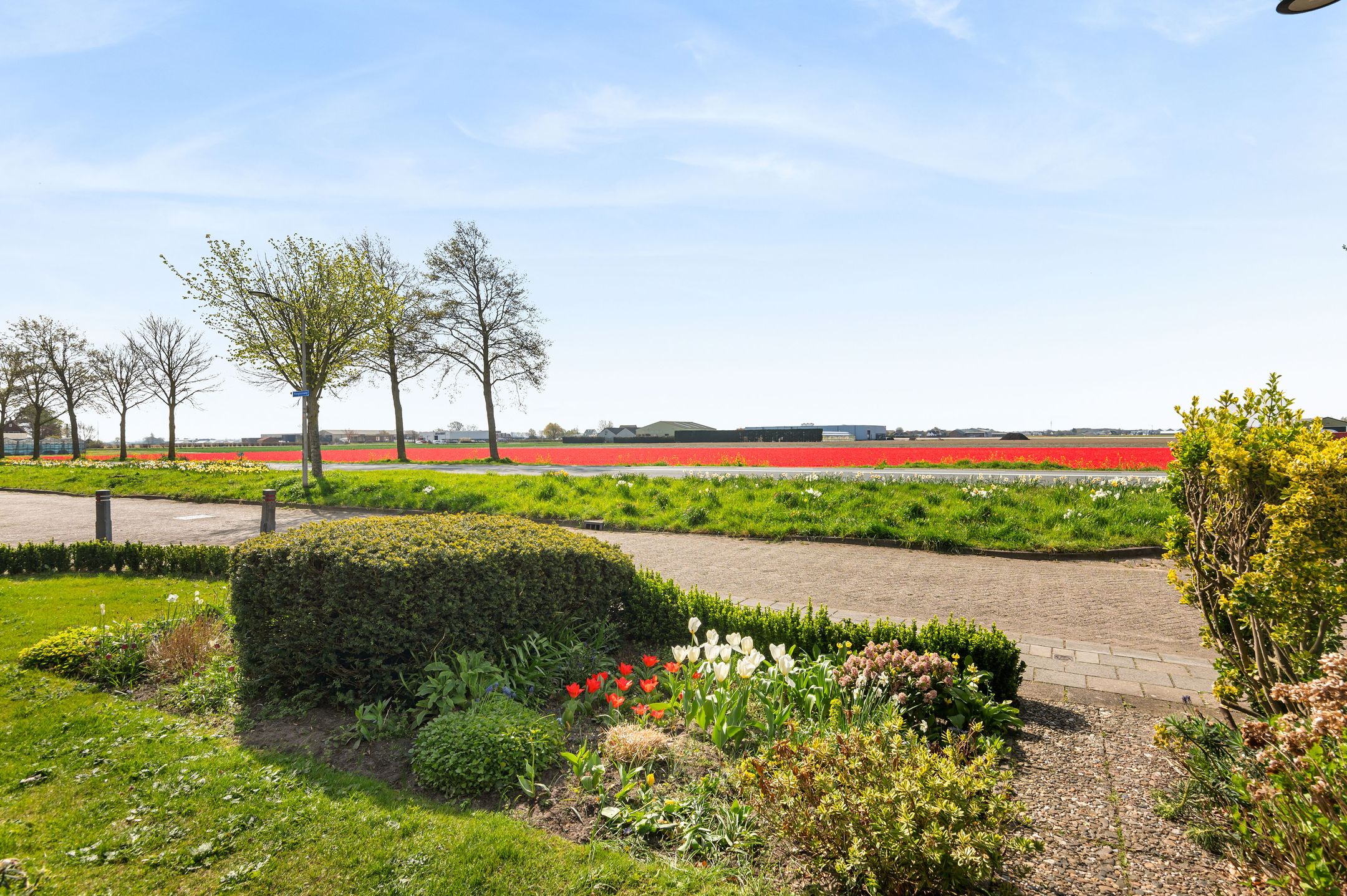 Foto 33 van Hoogduinweg 56