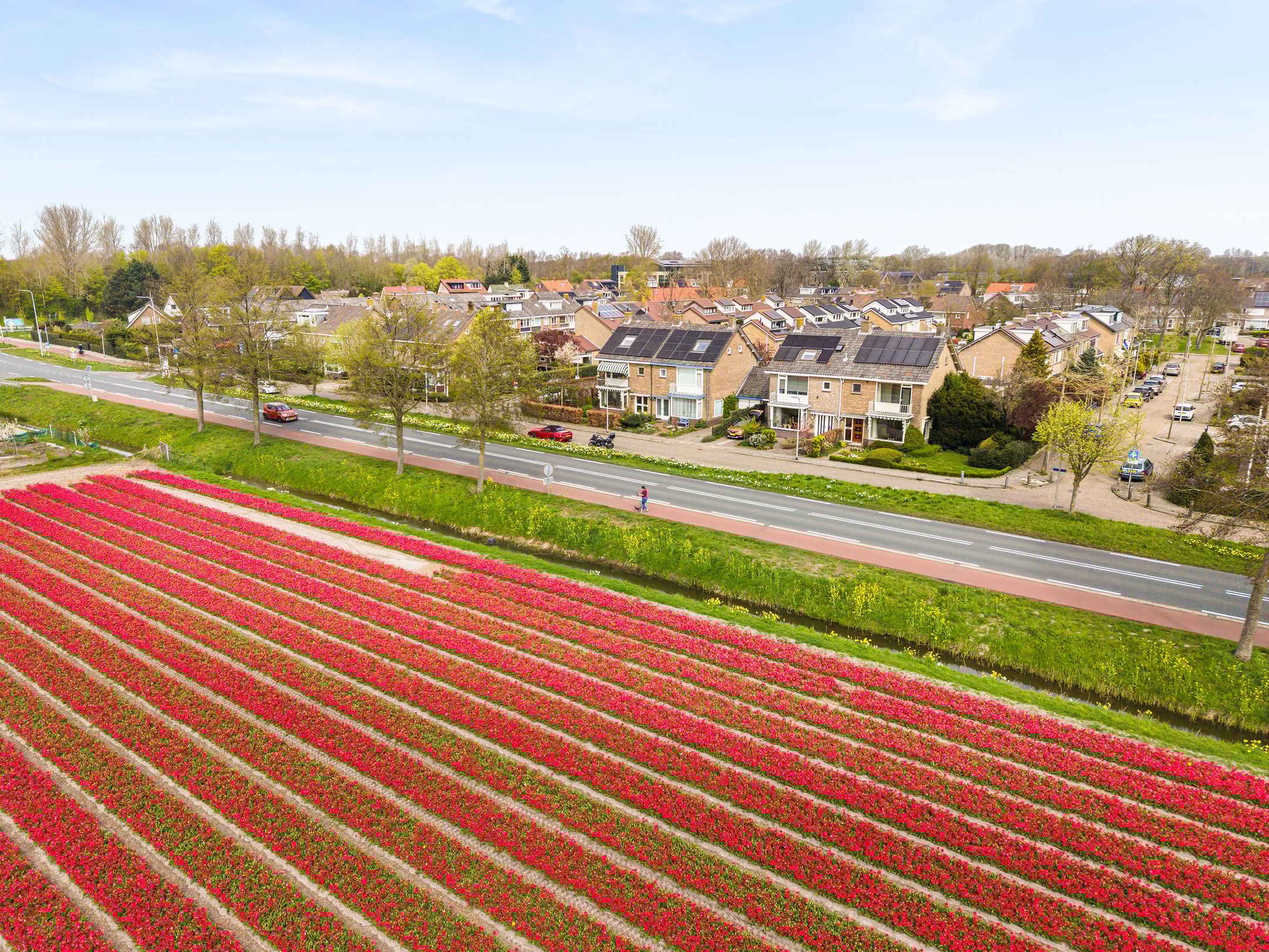 Foto 39 van Hoogduinweg 56