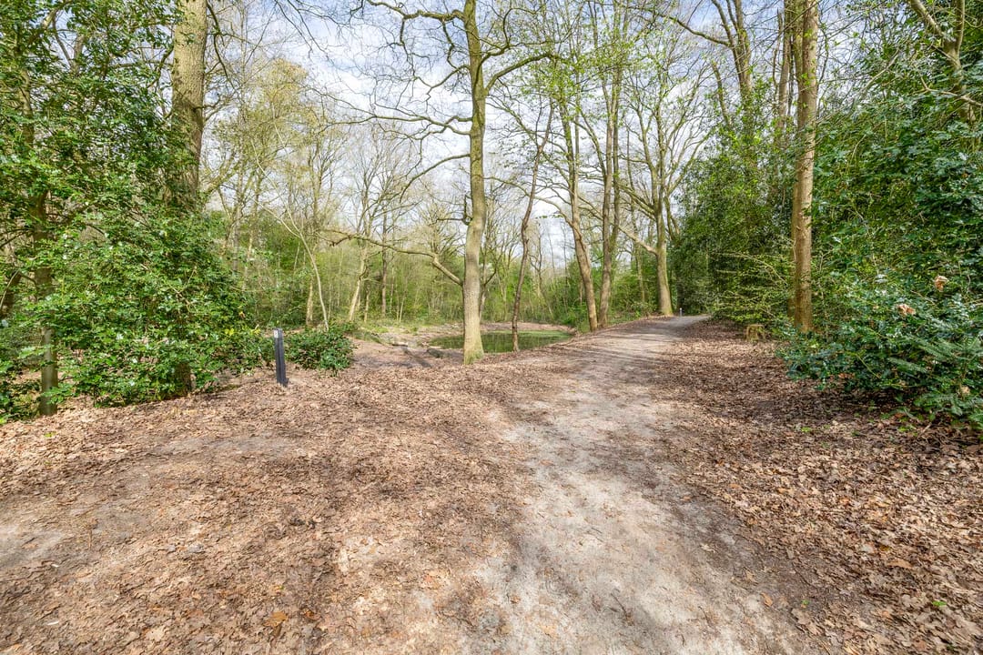 Foto 68 van Dennenlaan 42