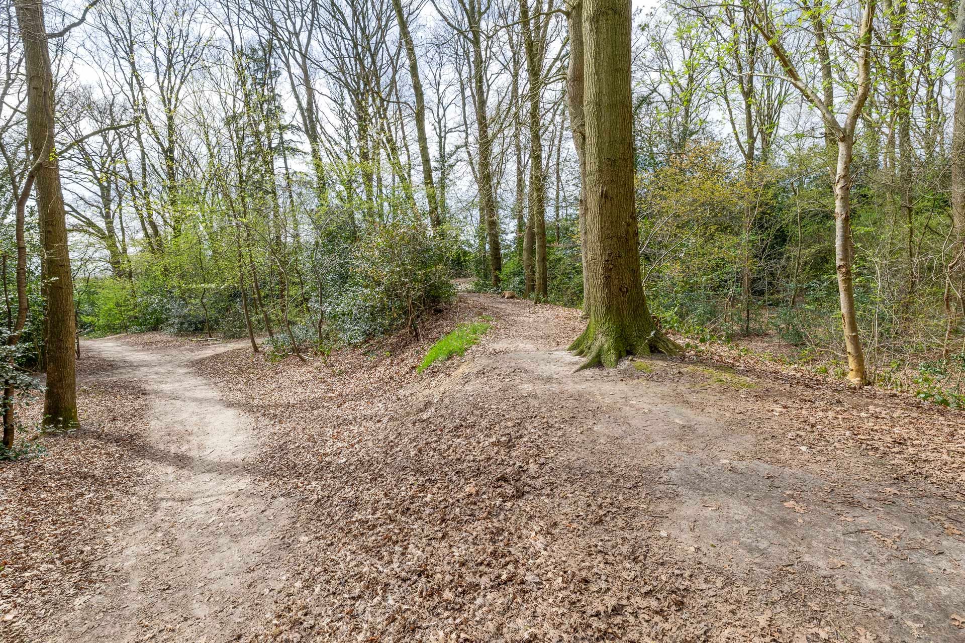 Foto 69 van Dennenlaan 42