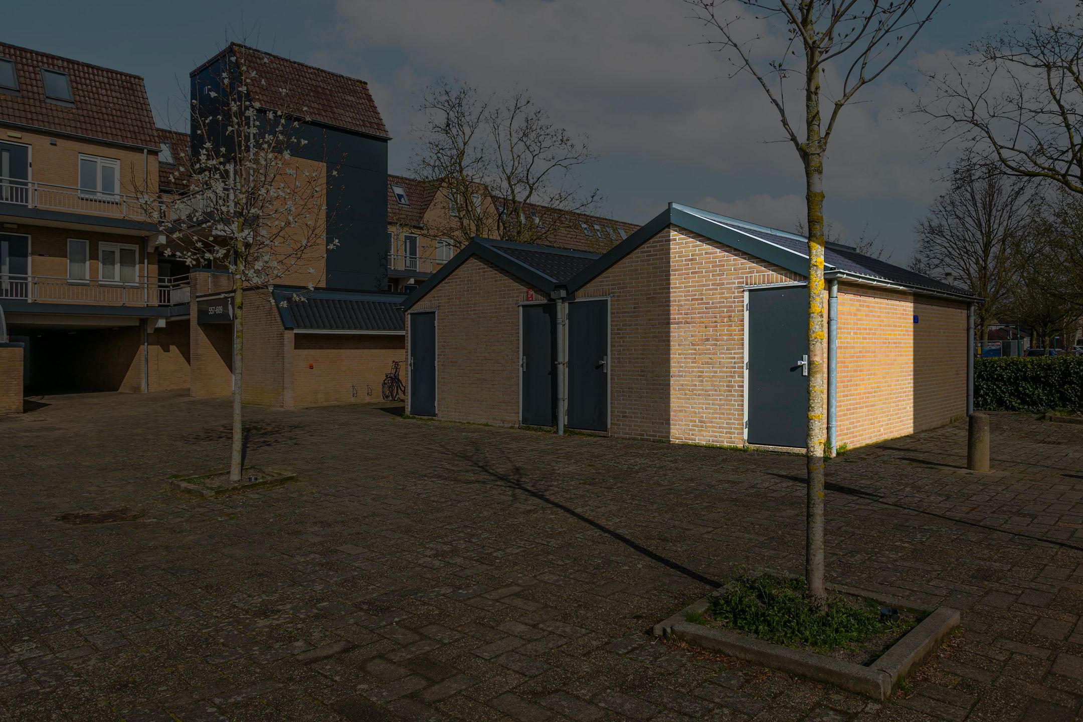 Photo 3 of Reigerskamp 608