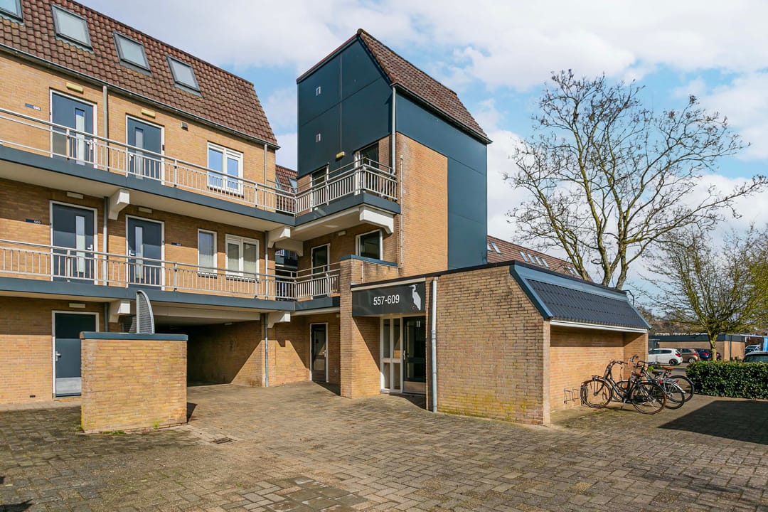 Photo 7 of Reigerskamp 608