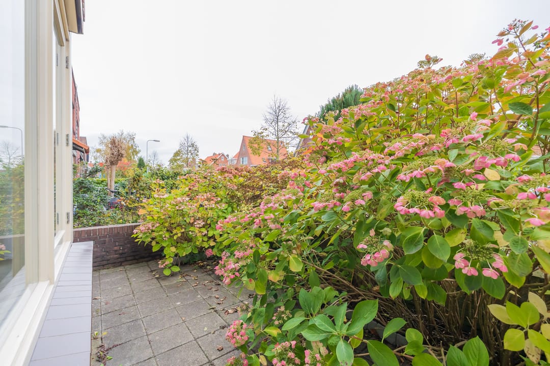 Ground floor apartment with garden and private garage near nature reserves — 32