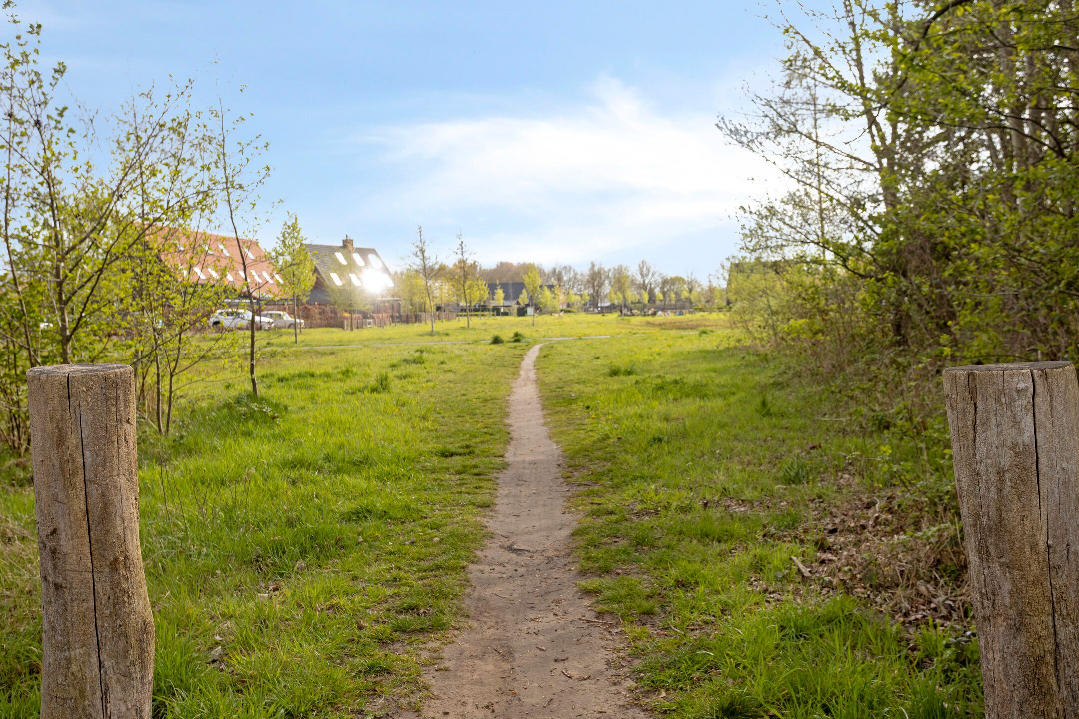 Photo 24 of Delisakker 11