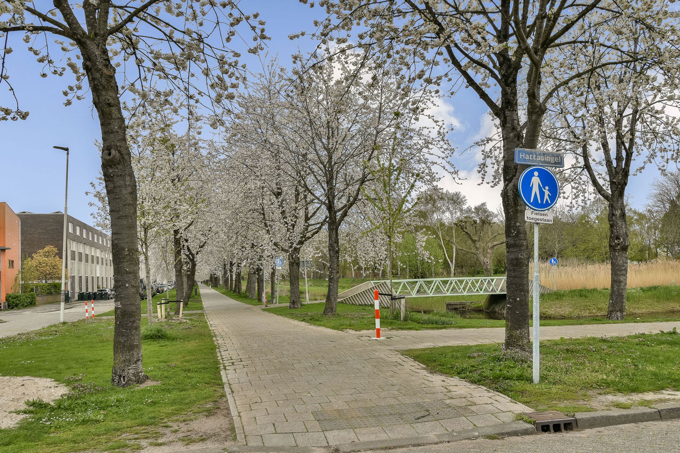 Photo 27 of A. Noordewier-Reddingiuslaan 207