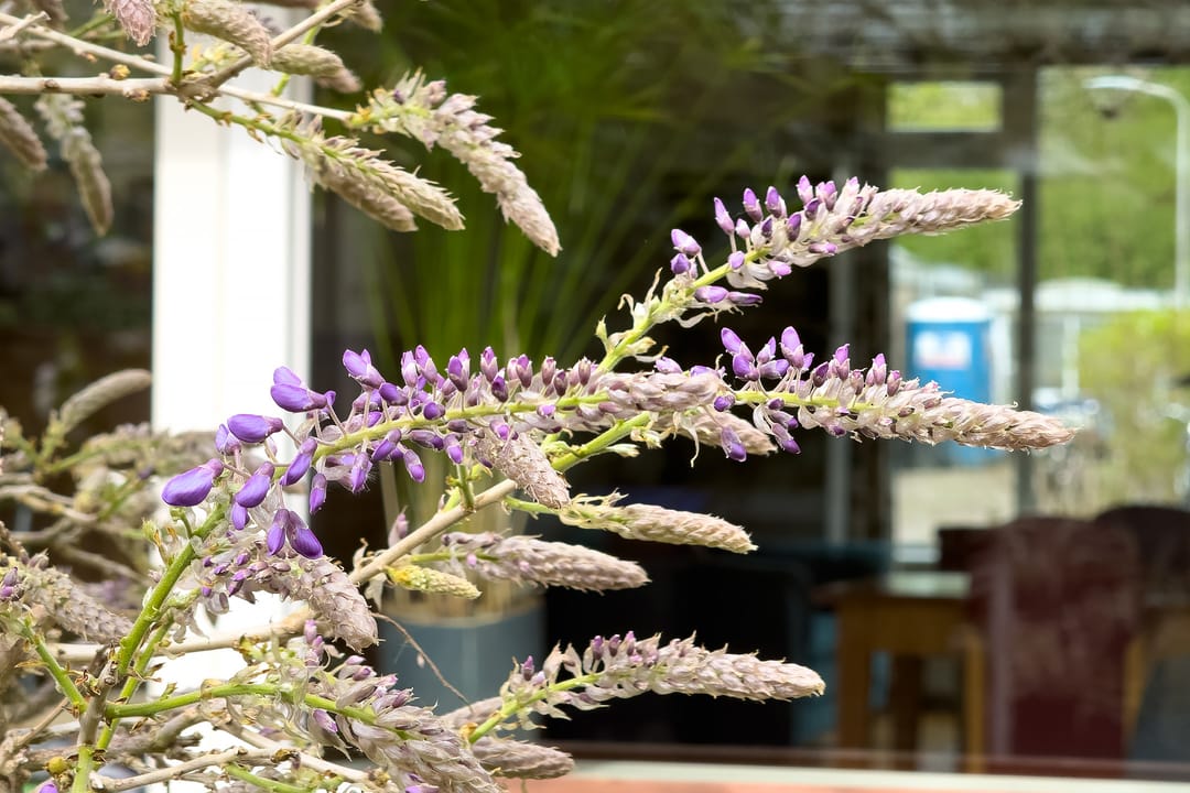 Foto 32 van Gomarushof 64