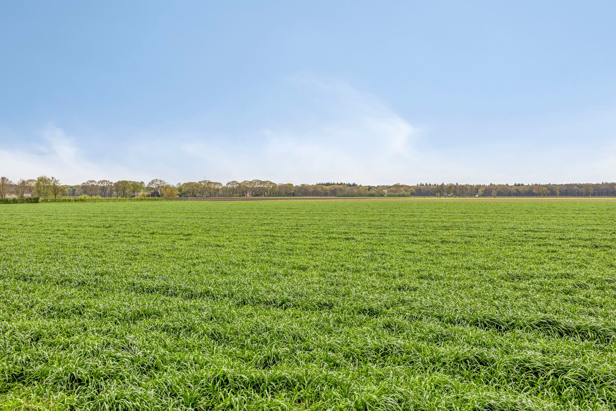 Foto 66 van Eiermijndreef 1-A