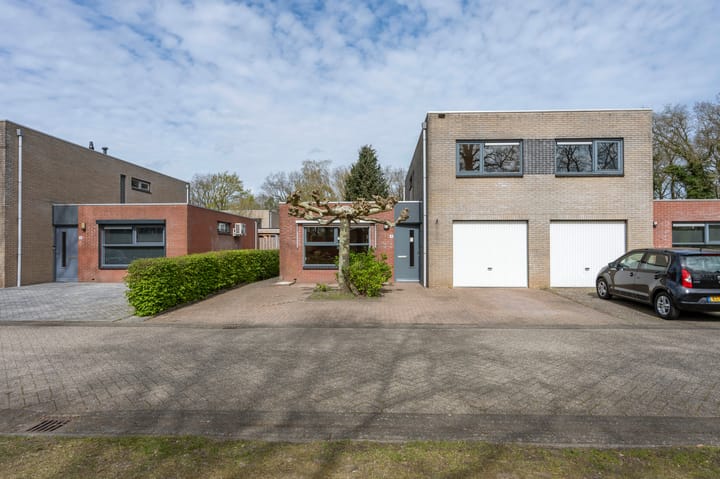 Foto 2 van Sneeuwuil 41