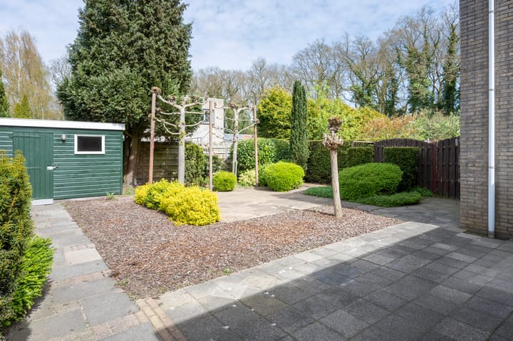 Foto 3 van Sneeuwuil 41