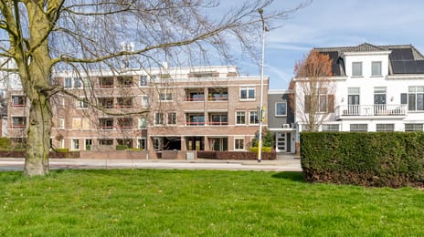 Bornsestraat thumbnail