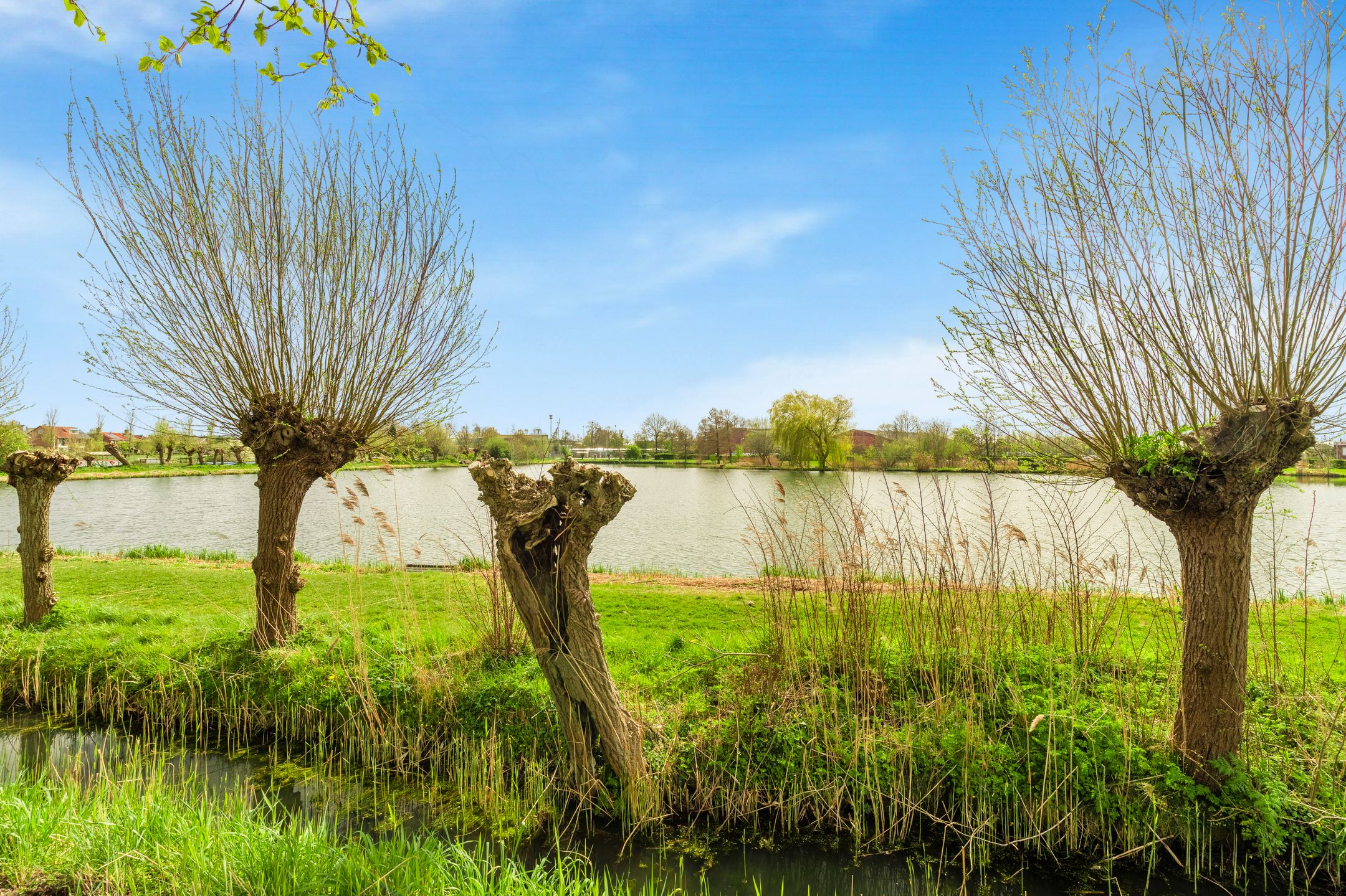 Foto 81 van De Kuil 13