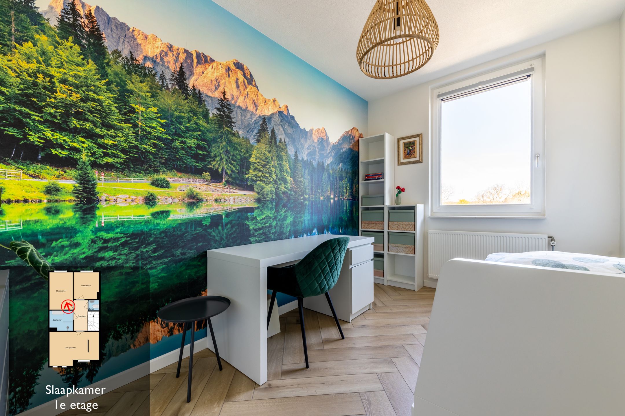 Foto 21 van Landvoogdes 41