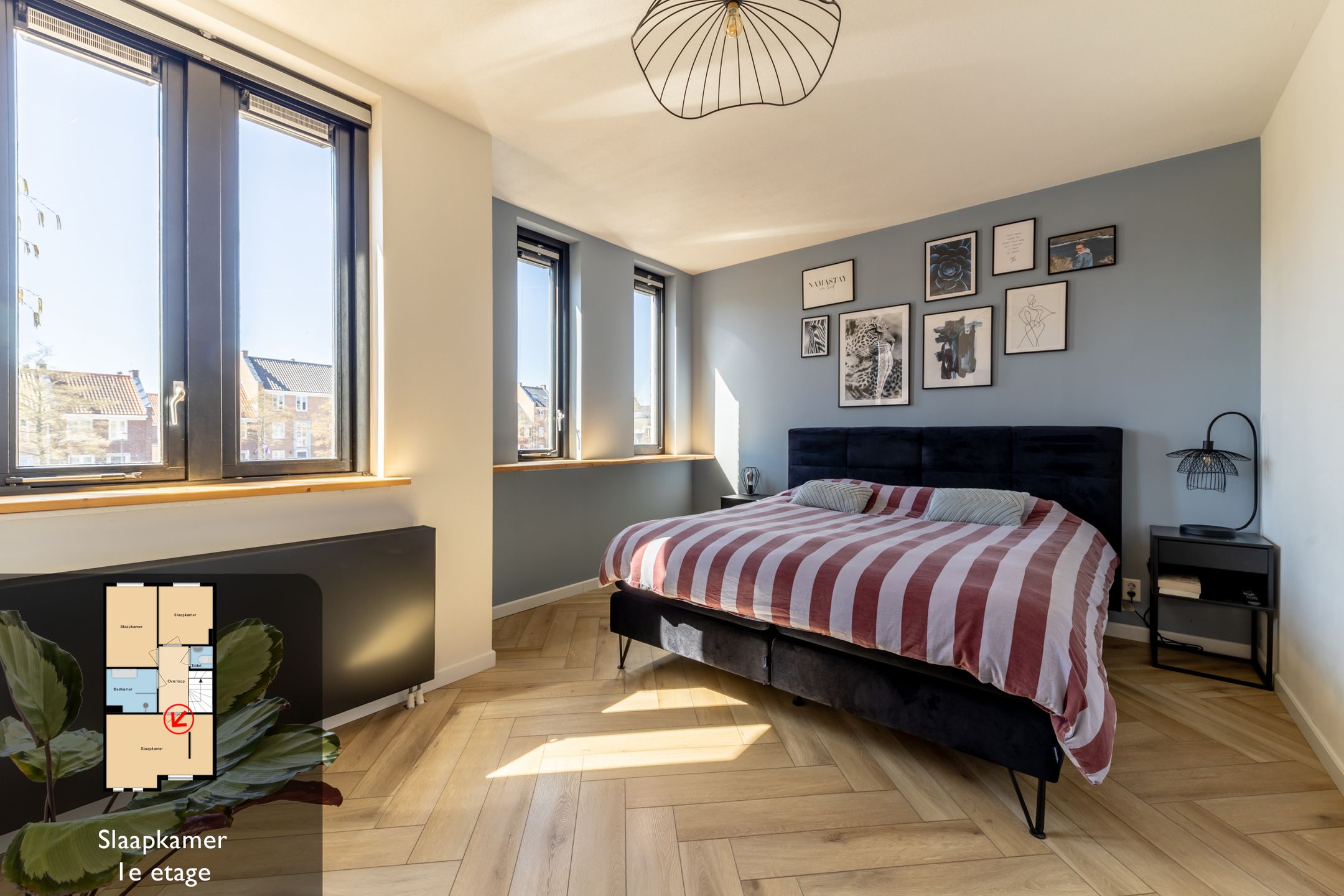 Foto 18 van Landvoogdes 41