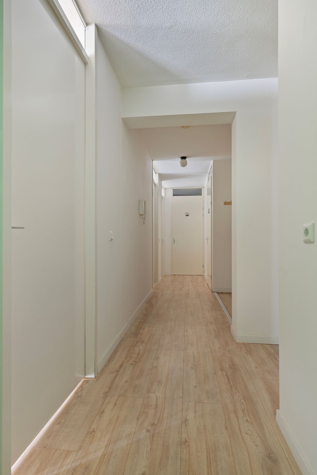 Photo 7 of Anna Blamansingel 239