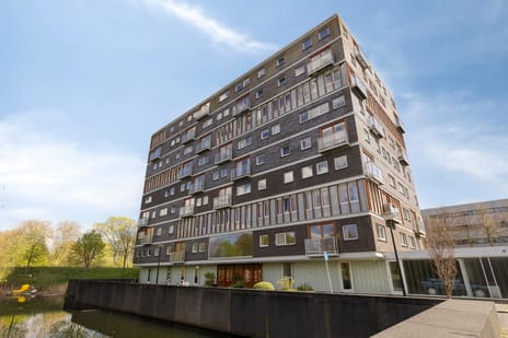 Anna Blamansingel thumbnail