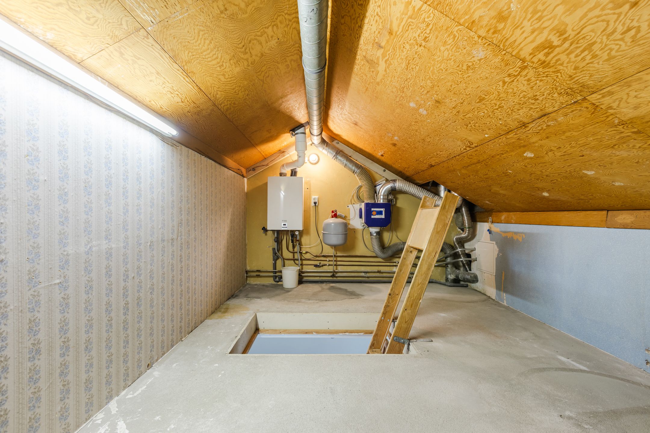 Foto 33 van Zwaluwstraat 43