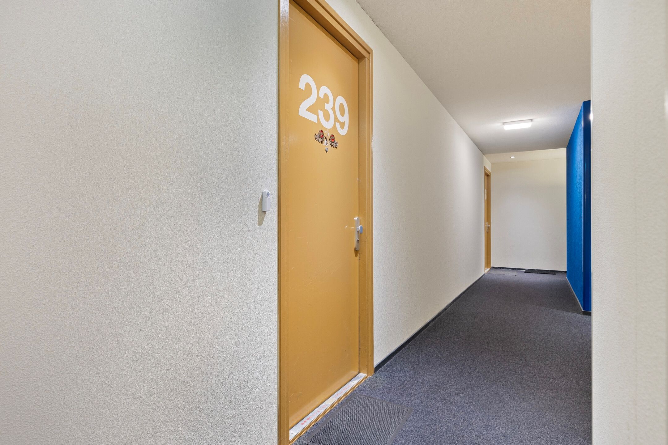 Photo 6 of Anna Blamansingel 239