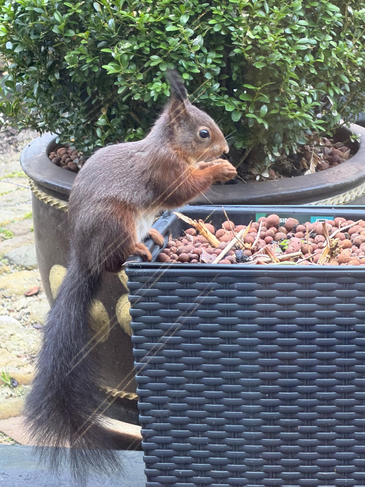 Foto 34 van Kokkelmanlanden 107