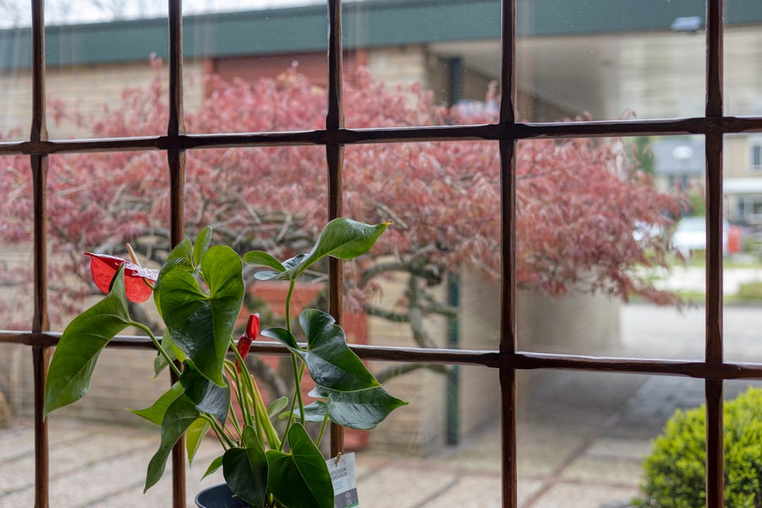 Foto 16 van Kokkelmanlanden 107