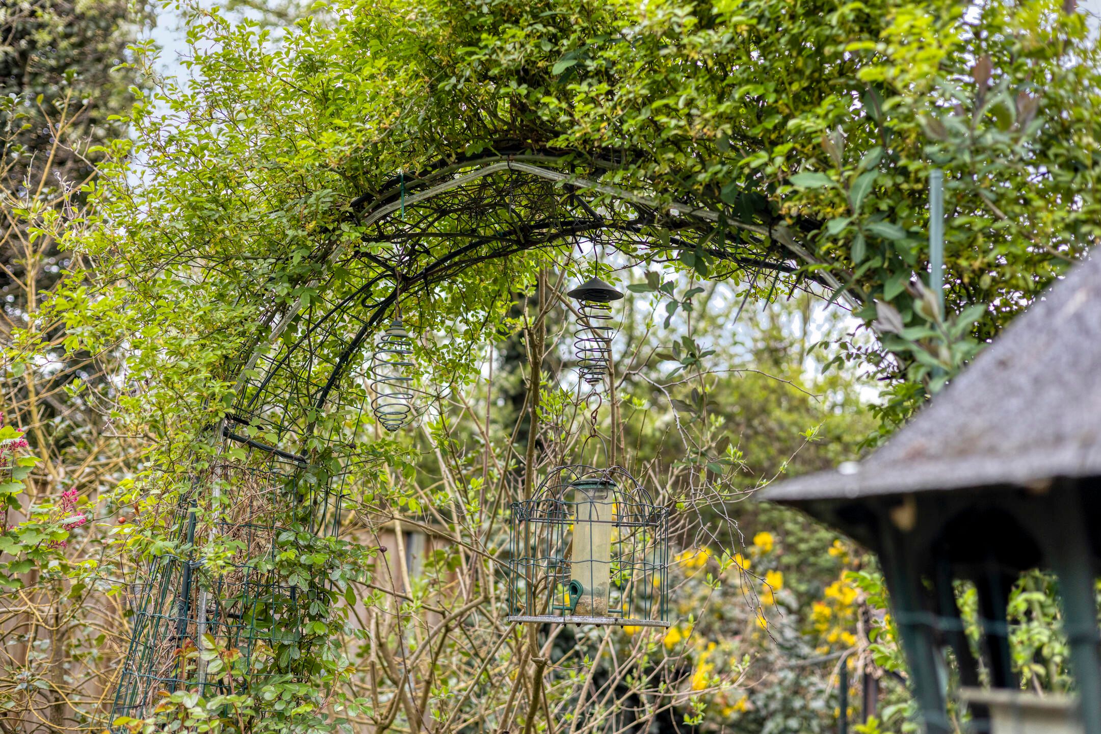 Foto 36 van Kokkelmanlanden 107