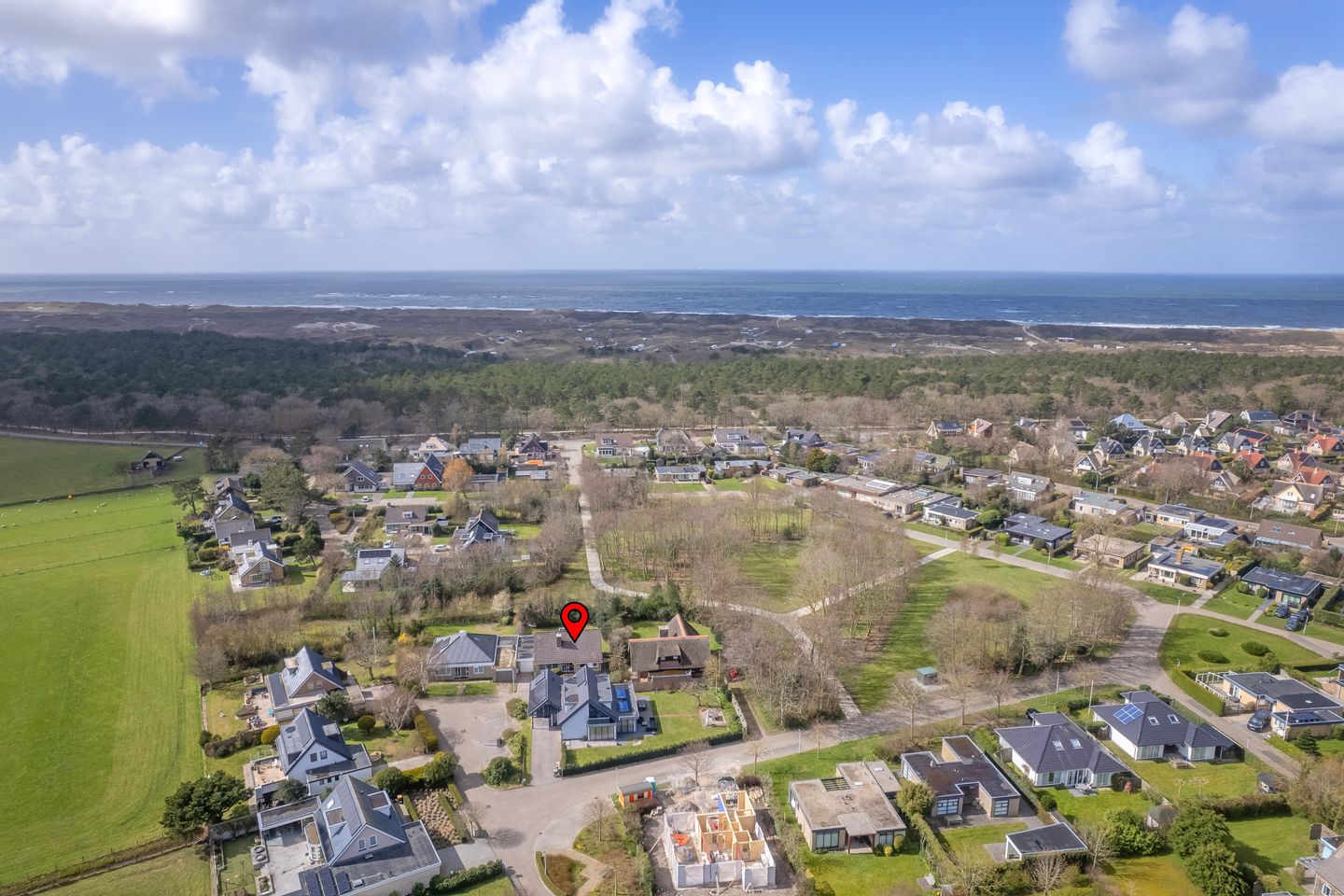 Foto 40 van Orchismient 27 X