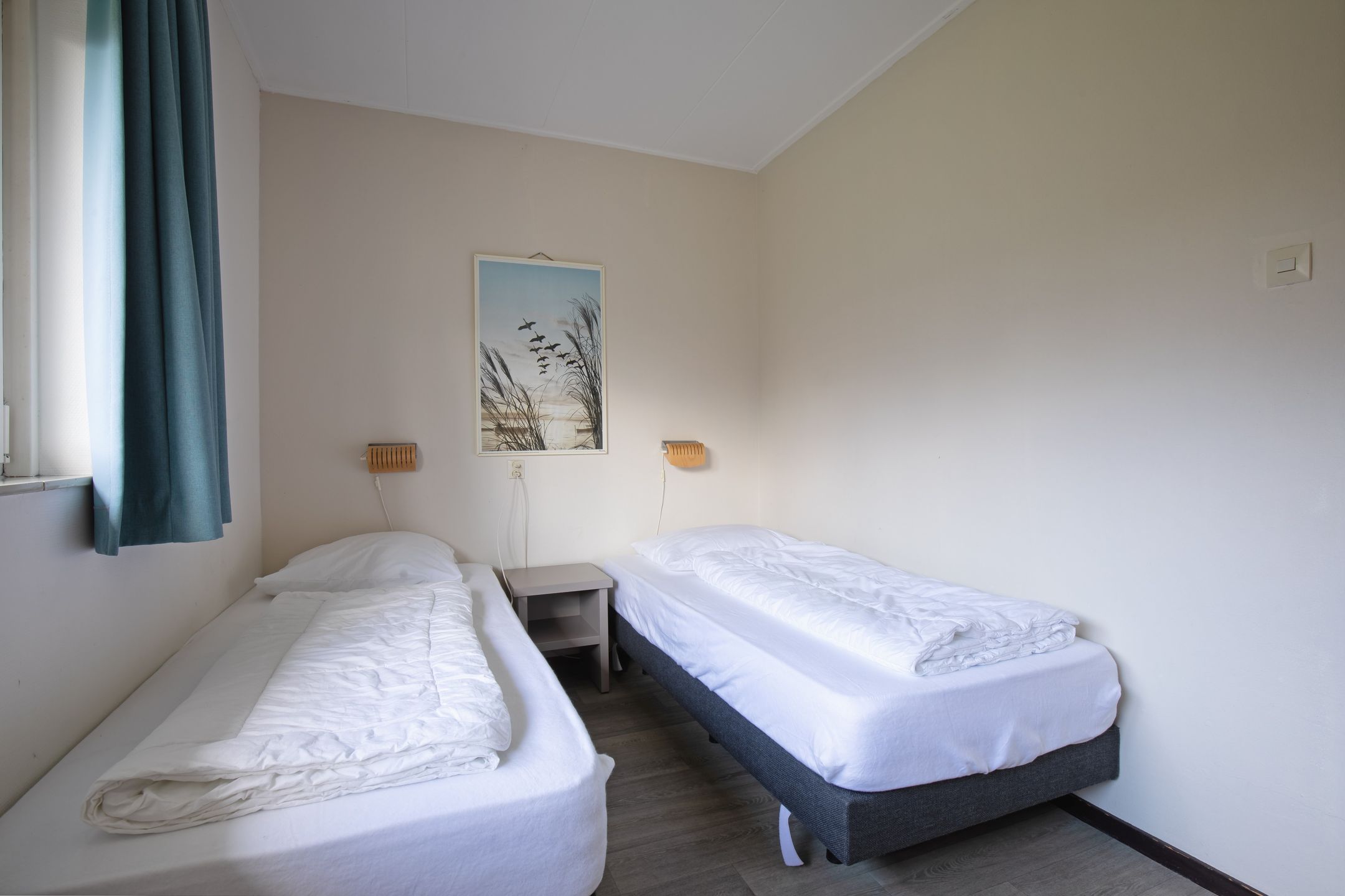 Foto 15 van Orchismient 27 X