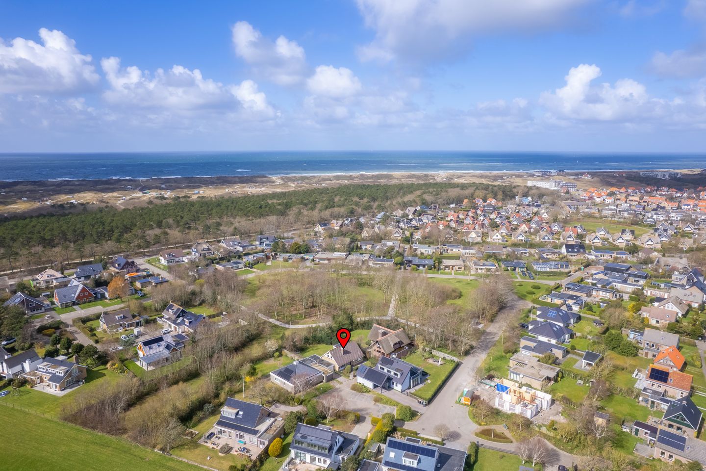 Foto 4 van Orchismient 27 X