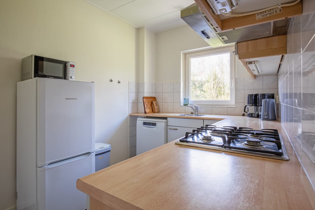 Foto 11 van Orchismient 27 X