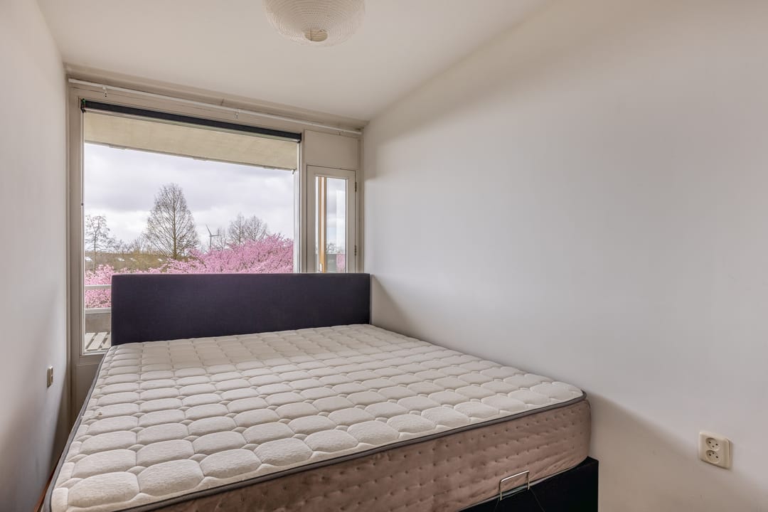 Foto 28 van Tsjaikovskistraat 78