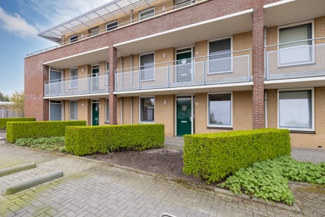 Herfsttuin thumbnail