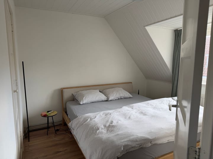 Foto 5 van Frans Halsstraat 31