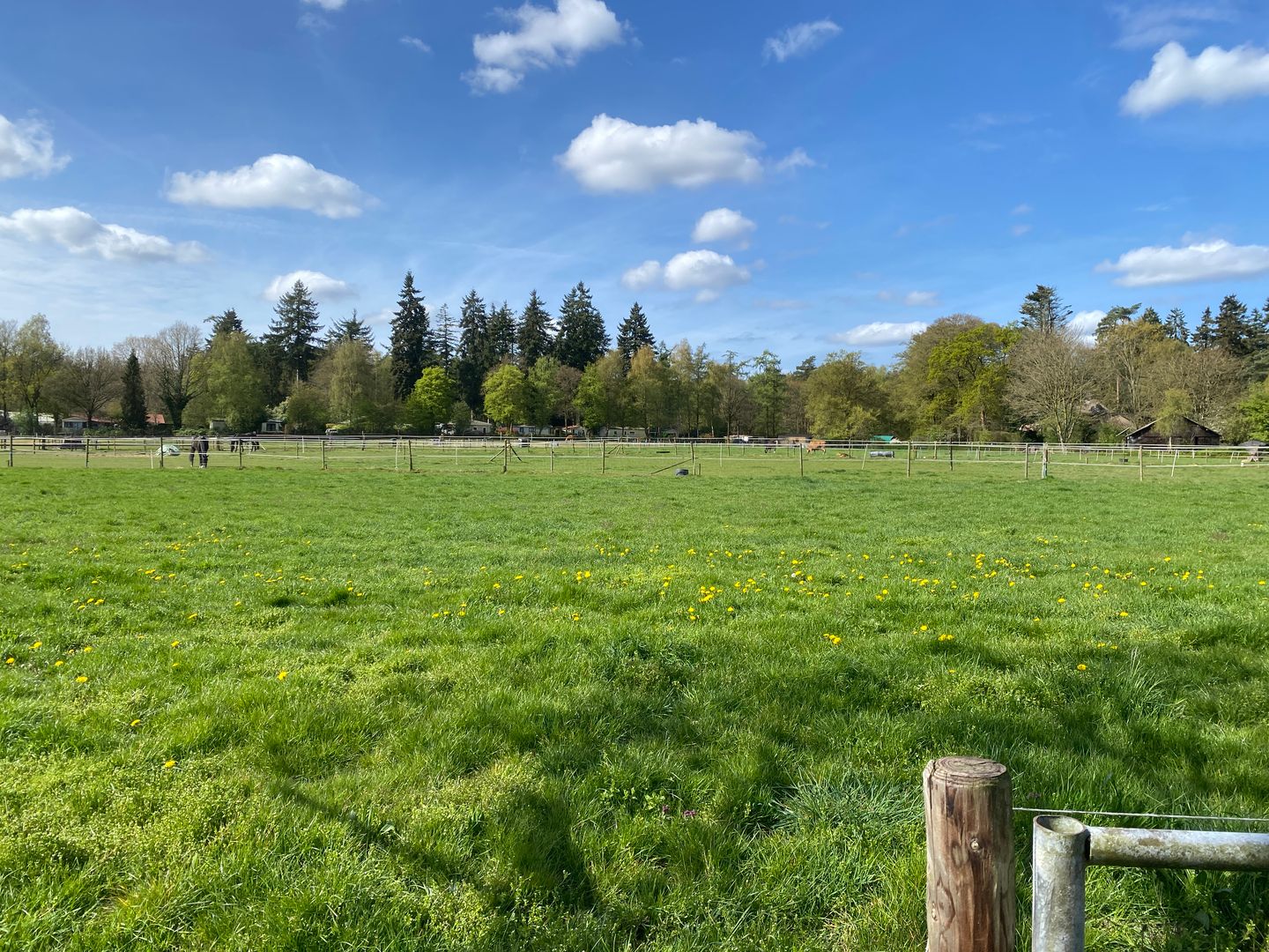 Photo 40 of De Jutberg 78-30