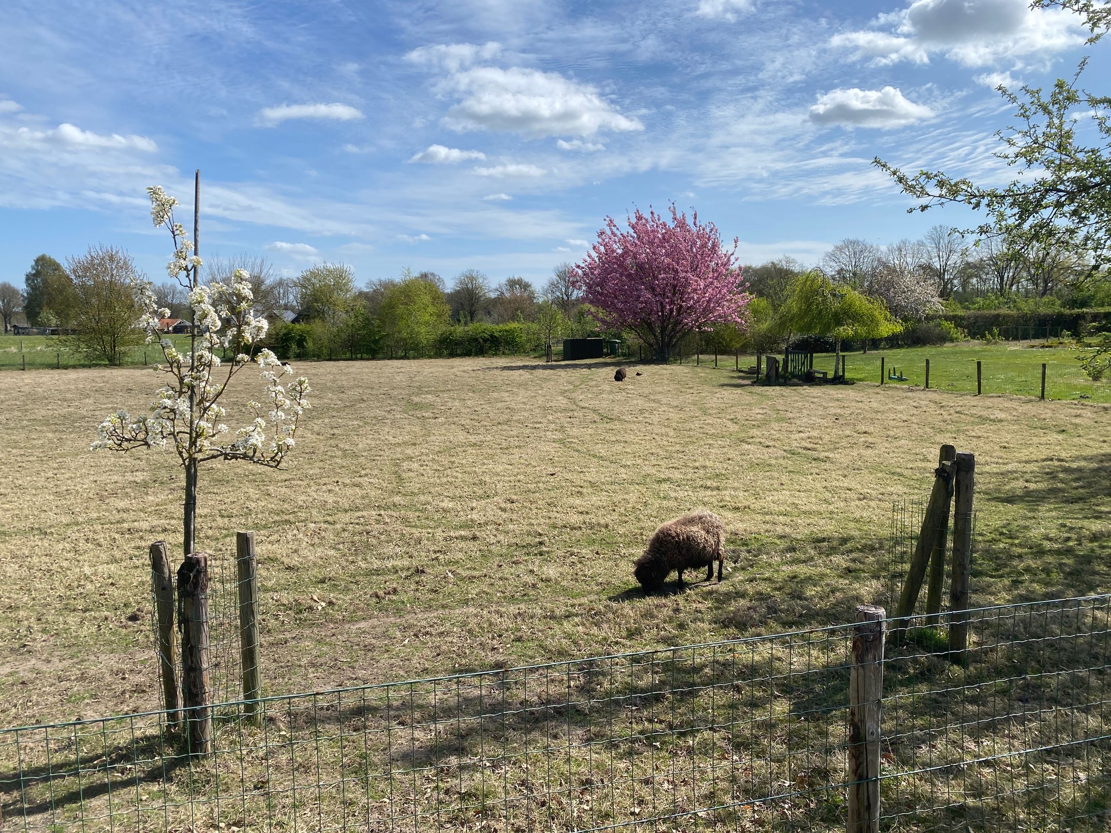 Photo 39 of De Jutberg 78-30