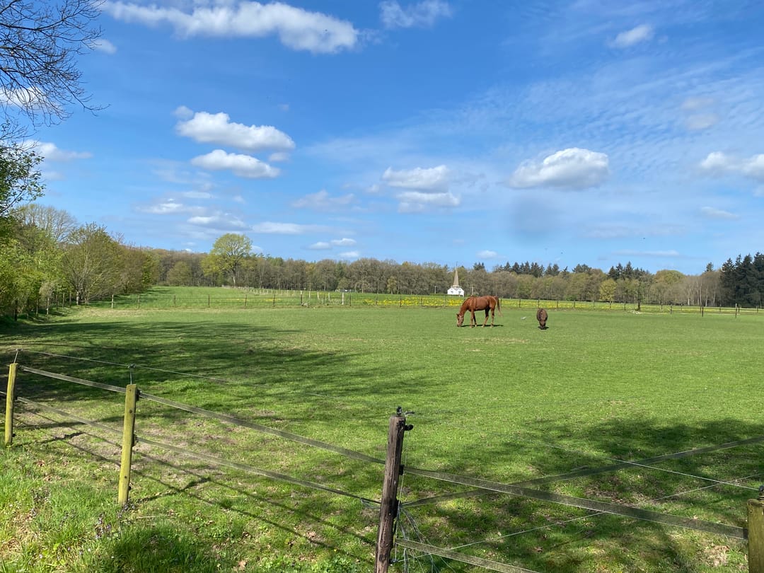 Photo 41 of De Jutberg 78-30