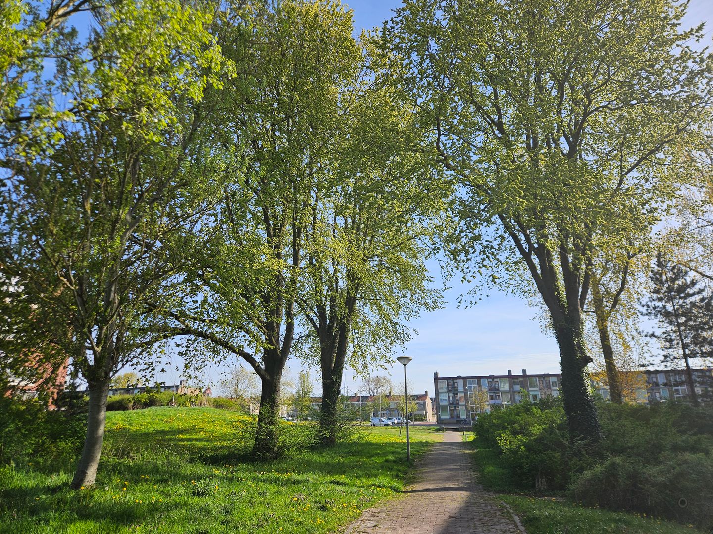 Photo 50 of Radarstraat 161