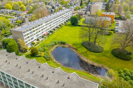 Amersfoortsestraatweg thumbnail