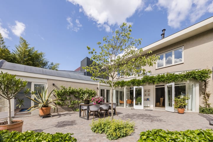 Foto 2 van Zilvervlek 23