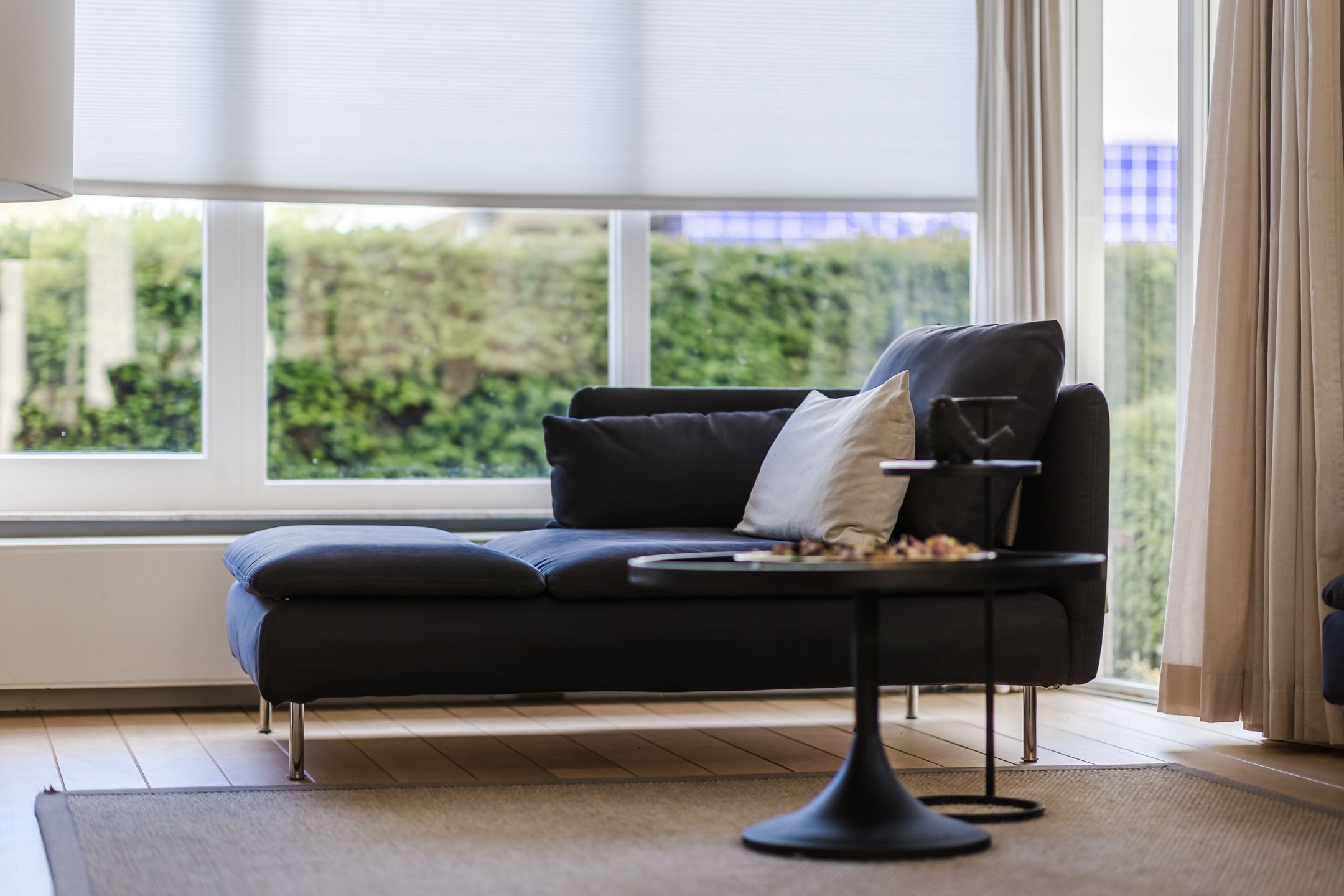 Foto 12 van Zilvervlek 23