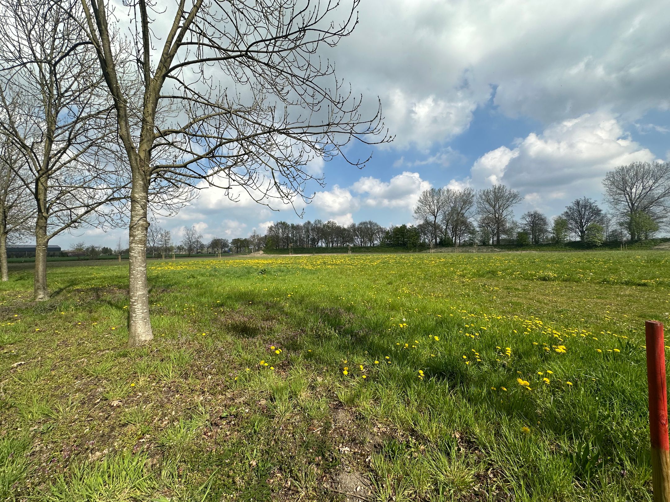 Photo 6 of Bouwkavels (Bouwnr. 03)