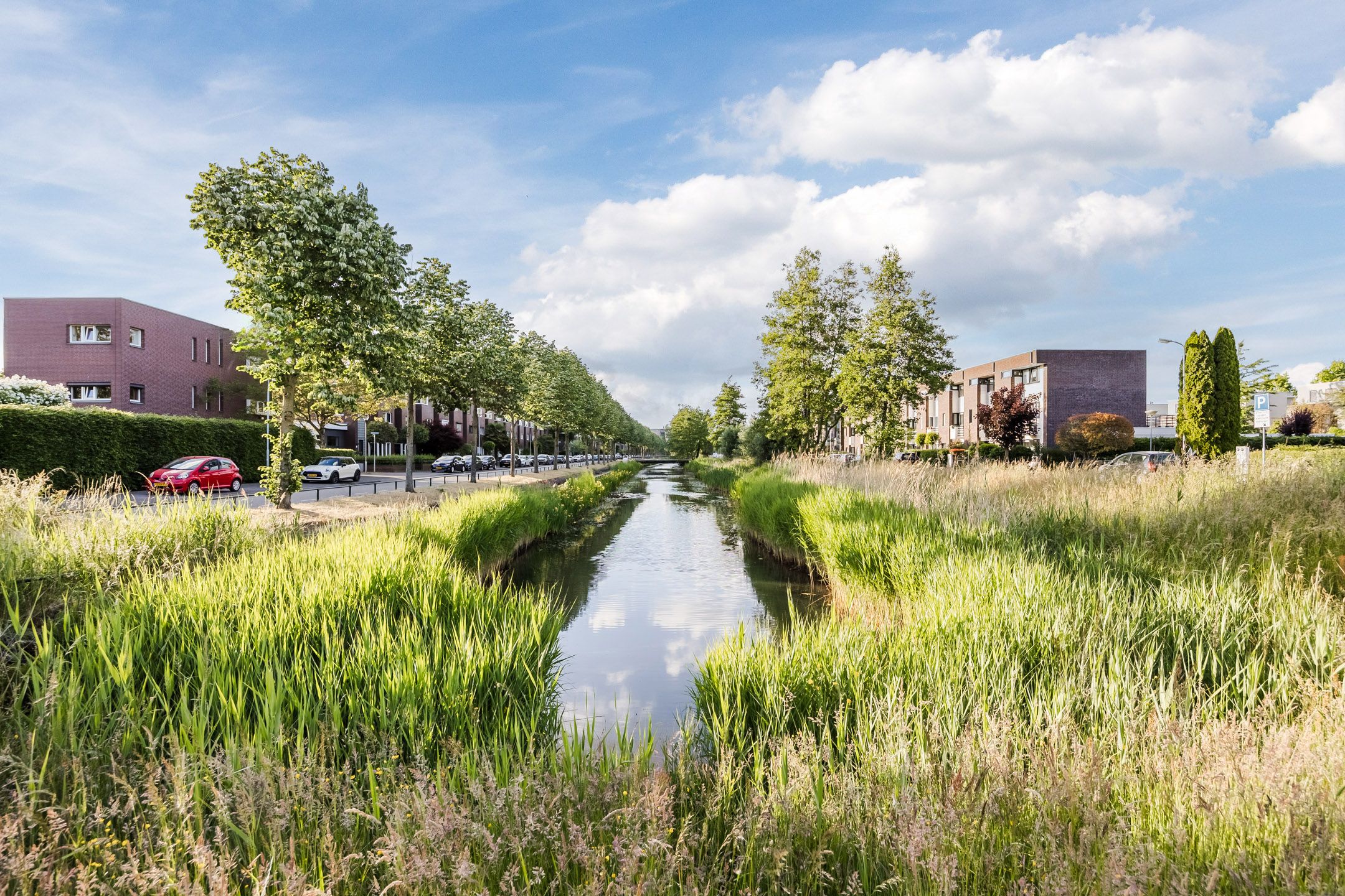 Foto 81 van Zilvervlek 23