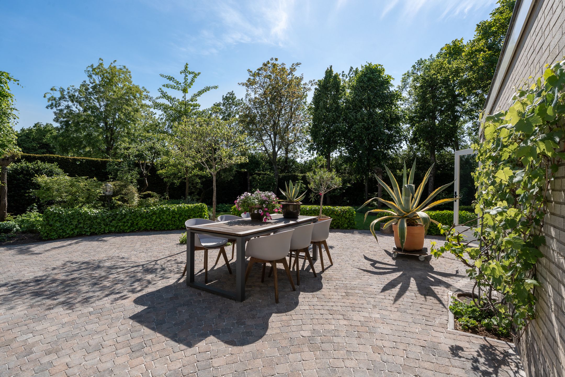 Foto 75 van Zilvervlek 23